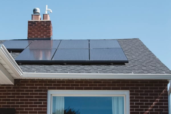 PEST CONTROL HITCHIN, Hertfordshire. Services: Solar Panel Bird Proofing. Keep Your Solar Panels Secure with Local Pest Control Ltd's Professional Bird Proofing Services in Hitchin